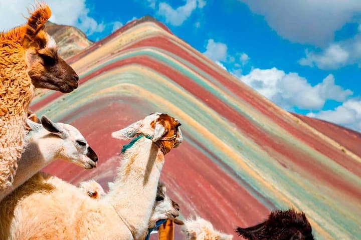 Rainbow Mountain & Coca Ceremony: Private Day Hike from Cusco
