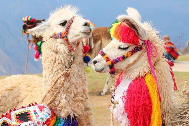 Rainbow Mountain & Coca Ceremony: Private Day Hike from Cusco photo 5