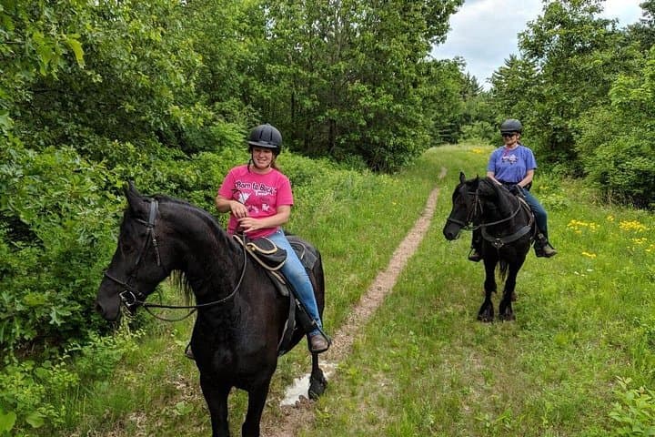 Meet the Rare Red Friesians: Hands-On Ranch Tours in Kettle Moraine photo 2