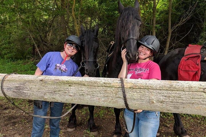 Meet the Rare Red Friesians: Hands-On Ranch Tours in Kettle Moraine photo 3
