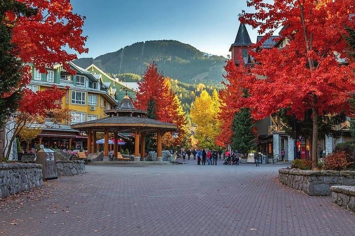 Sea-to-Sky Day Trip: Private Whistler Tour from Vancouver with Shannon Falls Stop photo 2
