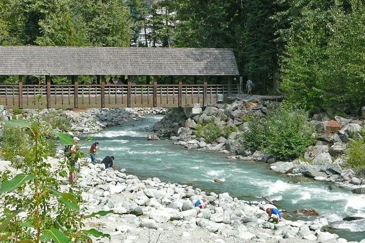 Sea-to-Sky Day Trip: Private Whistler Tour from Vancouver with Shannon Falls Stop photo 5