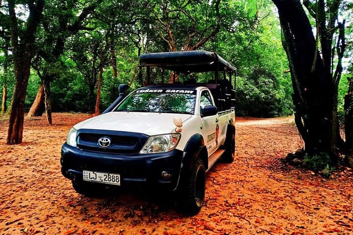 Udawalawa Half-Day Jeep Safari — Elephant Encounters & Wetland Wildlife