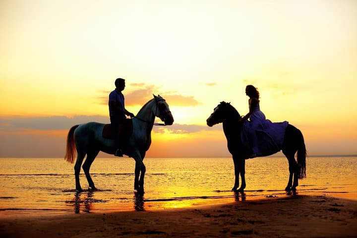 Sunset Horseback Ride and Private Beach Dinner in Cabo San Lucas