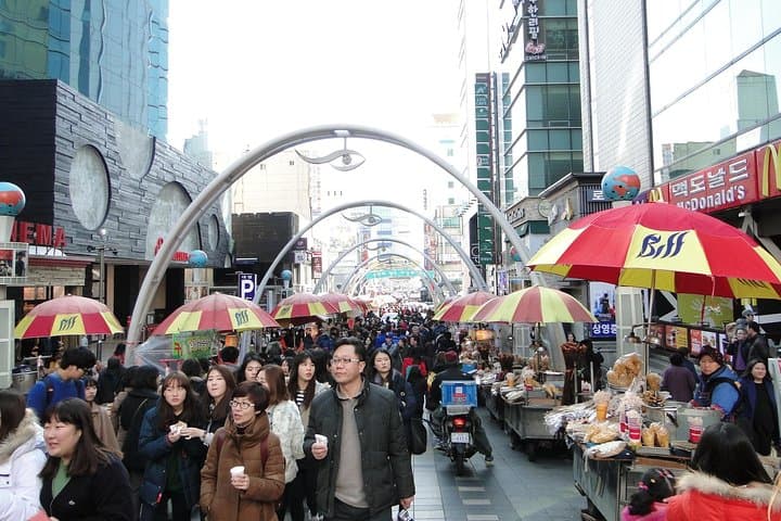Busan to Jinhae Cherry Blossom Day Tour — Top Spring Sights and Practical Tips photo 2