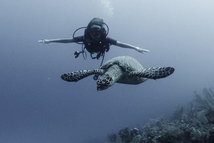 First-Time Scuba in Costa Maya: PADI Discover Scuba Diving at the Coral Garden