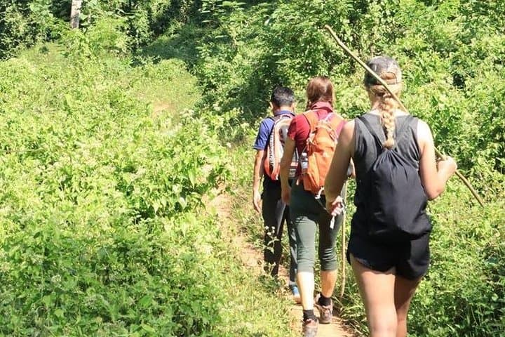 One-Day Premier Trek: Jungle & Waterfall with Mae Taeng Rafting from Chiang Mai photo 2