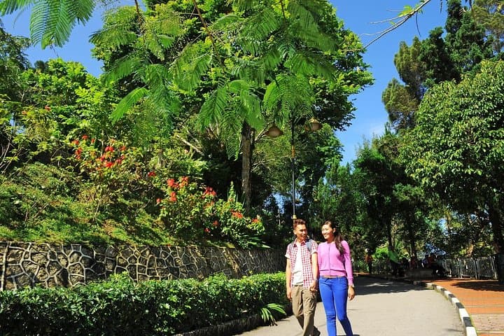 Half-Day Penang Guided Tour: Kek Lok Si, Street Art & Clan Jetties