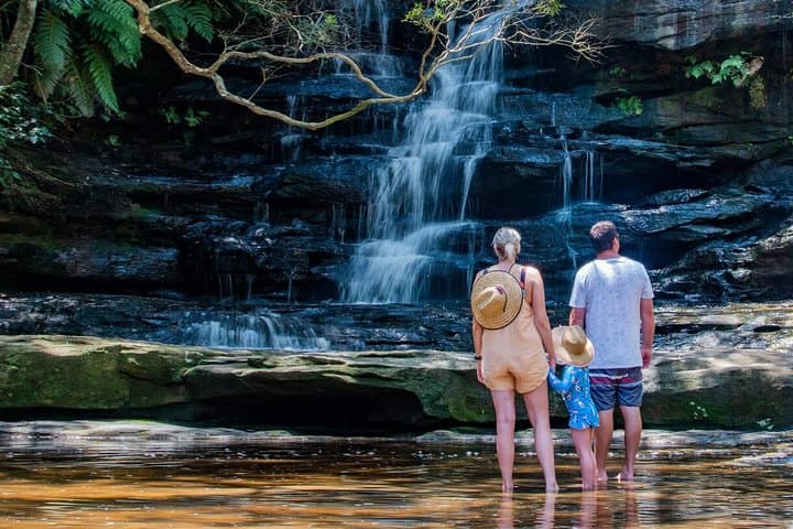 One-Day Australia Nature & Wildlife Private Tour from Sydney photo 6