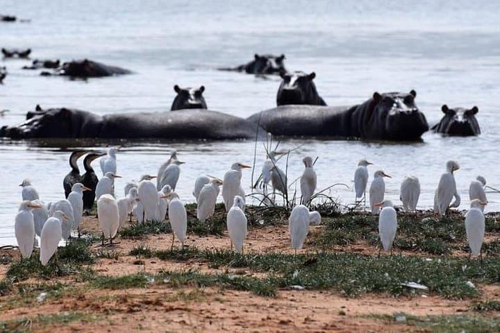 Hells Gate to Lake Naivasha: Biking the Rift Valley and Hippo Boat Ride photo 2