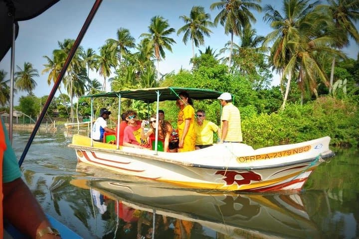 Negombo Lagoon & Muthurajawela Wetland Boat Tour: Dutch Canal Morning Wildlife Cruise photo 3