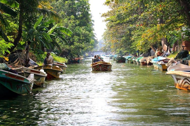 Negombo Lagoon & Muthurajawela Wetland Boat Tour: Dutch Canal Morning Wildlife Cruise photo 4