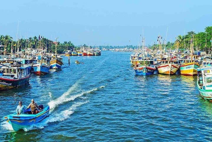 Negombo Lagoon & Muthurajawela Wetland Boat Tour: Dutch Canal Morning Wildlife Cruise
