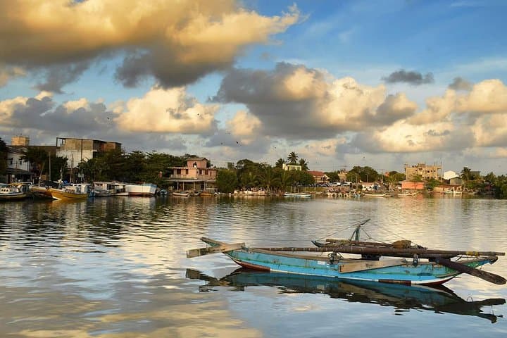 Negombo Lagoon & Muthurajawela Wetland Boat Tour: Dutch Canal Morning Wildlife Cruise photo 5