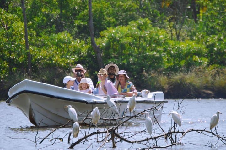 Negombo Lagoon & Muthurajawela Wetland Boat Tour: Dutch Canal Morning Wildlife Cruise photo 6