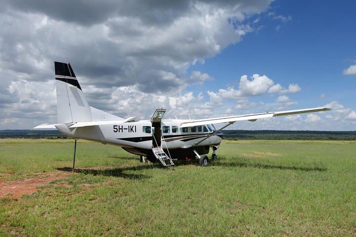 Mikumi National Park Day Trip from Zanzibar: Fly-In Game Drive