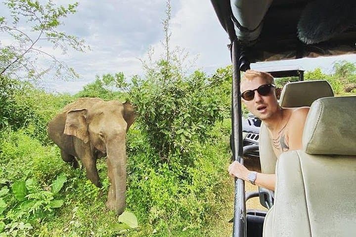 Udawalawa Half-Day Jeep Safari — Elephant Encounters & Wetland Wildlife photo 5