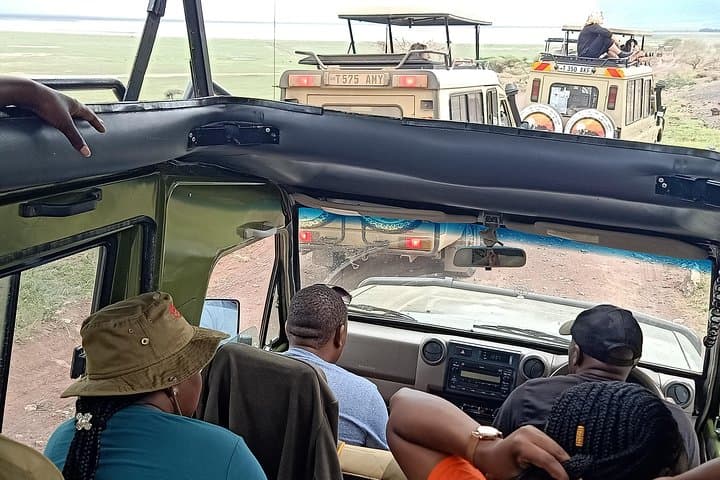 Ngorongoro Crater Game Drive: Full-Day Safari from Arusha