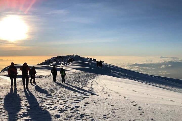 Kilimanjaro Climb Lemosho Route — 8-Day Guided Trek to Uhuru Peak photo 4
