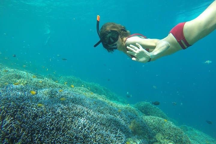 Gili Islands Day Trip from Lombok: Snorkel, Turtles & Sunset Views photo 5