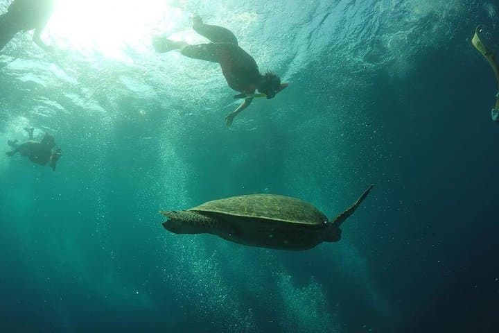 Gili Islands Day Trip from Lombok: Snorkel, Turtles & Sunset Views photo 6