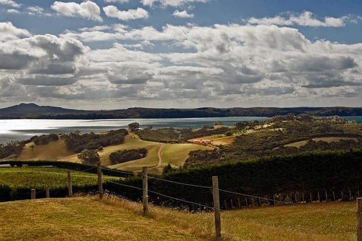 Waiheke Island Private Art Walk — Oneroa Galleries, Studios & Sculpture Park photo 6