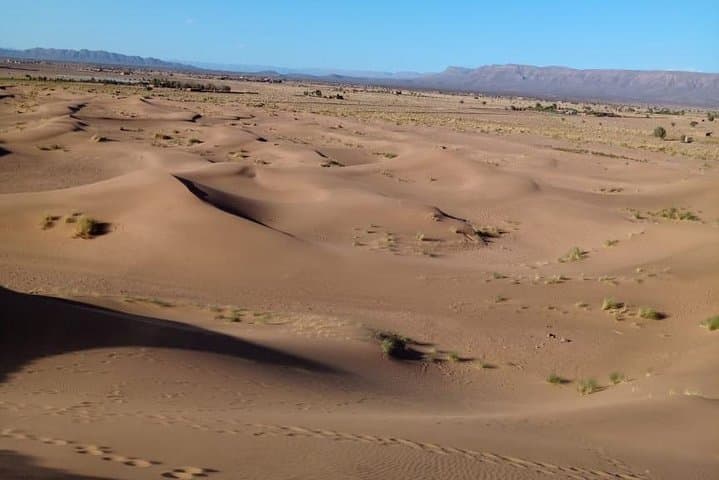 Zagora Desert 2-Day Bivouac & Aït Benhaddou Trek from Marrakech photo 6