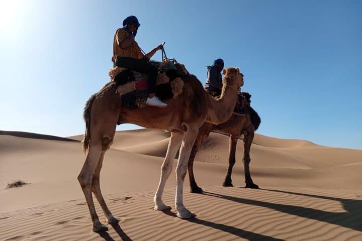 Zagora Desert 2-Day Bivouac & Aït Benhaddou Trek from Marrakech