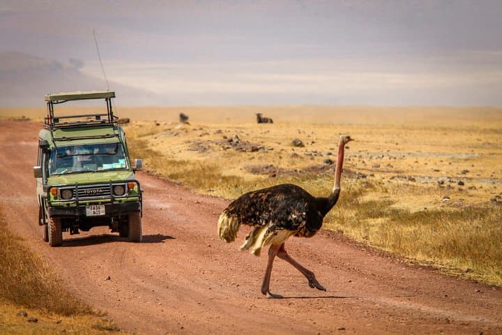 3-Day Budget Camping Safari to Ngorongoro, Tarangire & Lake Manyara photo 5