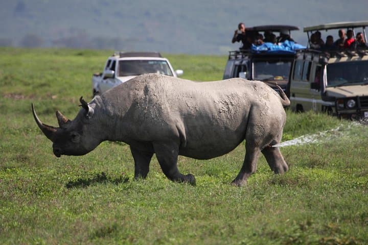 3-Day Budget Camping Safari to Ngorongoro, Tarangire & Lake Manyara photo 4