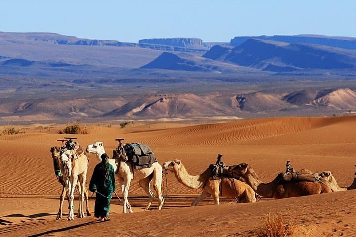 2-Day Zagora Desert Tour from Marrakech — Camel Trek & Berber Camp photo 2