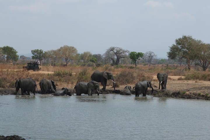 Ngorongoro Crater Day Trip from Arusha: Wildlife, Views, and Practical Tips photo 3