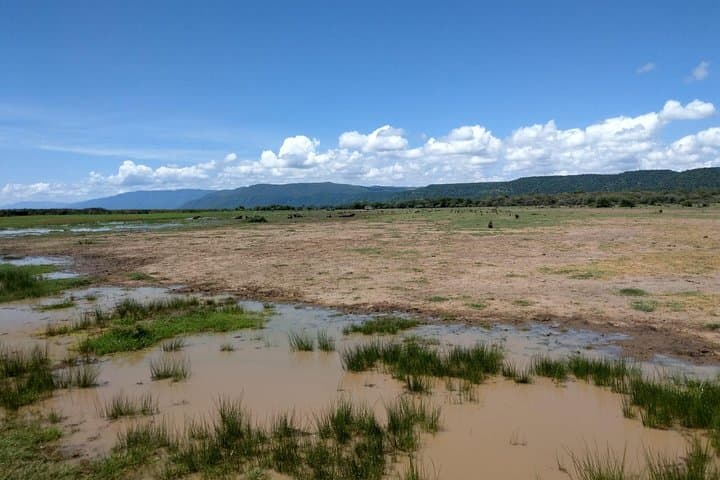 Mt Meru Trek: 4-Day Summit Trek in Arusha National Park photo 5