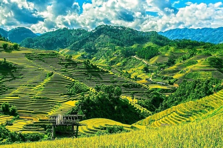Three-Day Sapa Homestay Trek: Y Linh Ho, Lao Chai & Ta Van photo 1