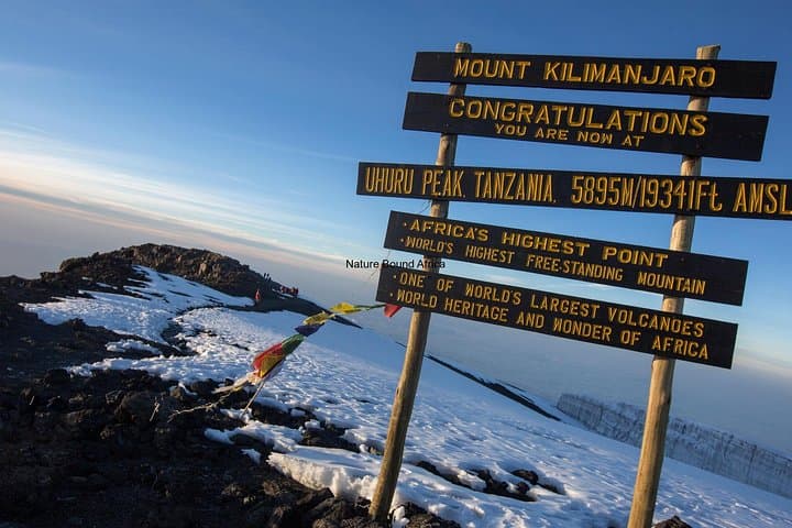 7-Day Kilimanjaro Machame Route: Summit Trek from Moshi photo 5
