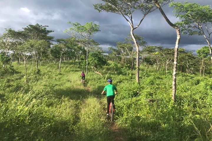 Montezuma Jungle Mountain Bike Adventure — Coastal Trails & Secret Waterfalls photo 3