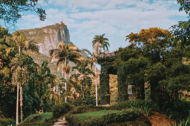 Explore Rio de Janeiro Botanical Garden and Tijuca Forest: Guided Half-Day Tour