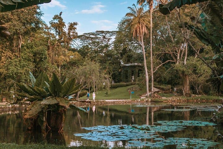Explore Rio de Janeiro Botanical Garden and Tijuca Forest: Guided Half-Day Tour photo 3