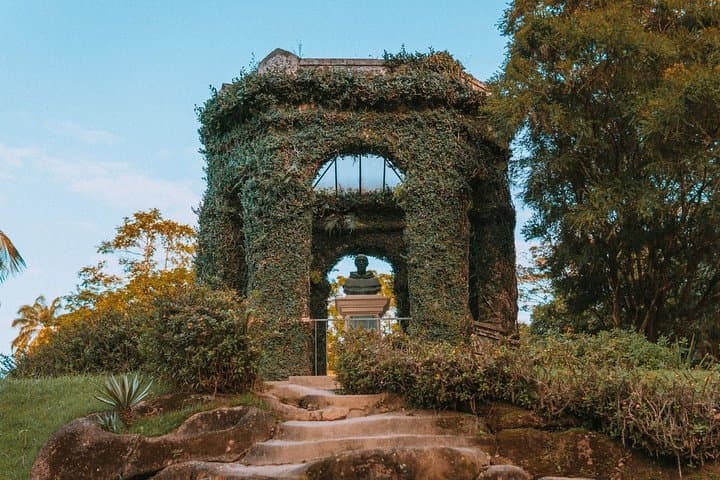 Explore Rio de Janeiro Botanical Garden and Tijuca Forest: Guided Half-Day Tour photo 4