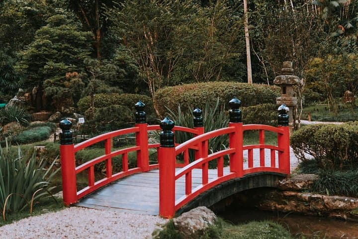 Explore Rio de Janeiro Botanical Garden and Tijuca Forest: Guided Half-Day Tour photo 5