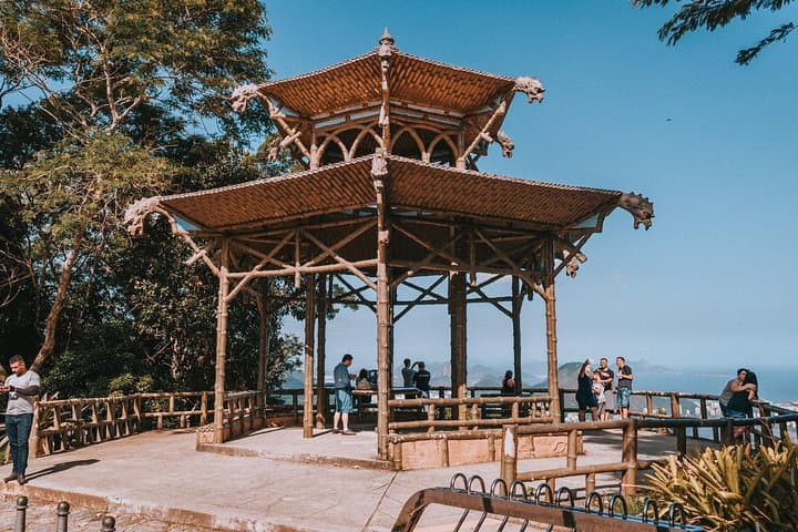 Explore Rio de Janeiro Botanical Garden and Tijuca Forest: Guided Half-Day Tour photo 6
