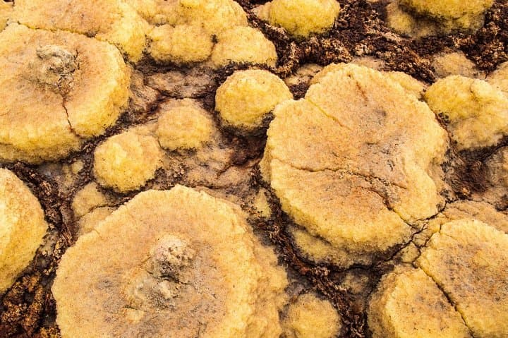 Dallol & Danakil: 2-Day Expedition to Ethiopia's Acid Springs and Salt Flats photo 3