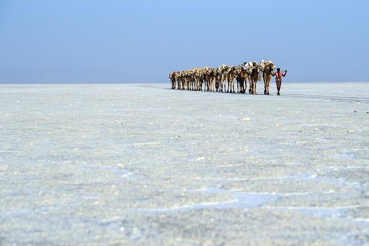 Dallol & Danakil: 2-Day Expedition to Ethiopia's Acid Springs and Salt Flats photo 4
