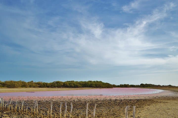 Native Expedition Through La Guajira Desert: Cabo de la Vela to Punta Gallinas photo 5