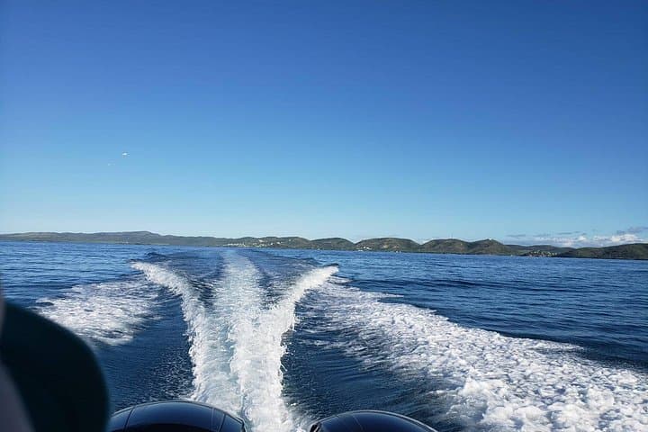 La Parguera Private Boat Charter — Island Hopping, Snorkeling & Sandbars photo 2