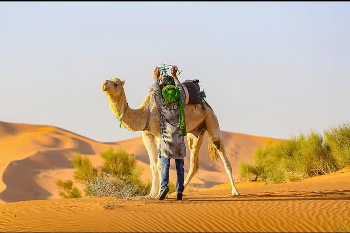 2-Day Chegaga Desert Tour from Ouarzazate — Camel Trek, Kasbahs & Bivouac photo 3