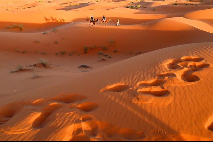 2-Day Chegaga Desert Tour from Ouarzazate — Camel Trek, Kasbahs & Bivouac photo 4