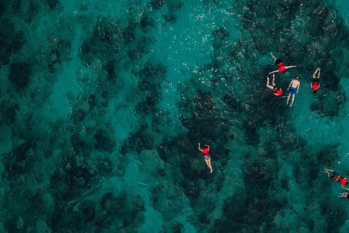 Roatan West End Boat and Snorkel: Blue Channel, Aquarium & Turtle Crossing