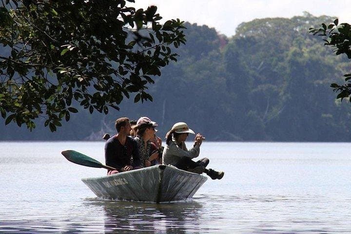 4-Day Tambopata Amazon Lodge: Macaws, Clay Licks & Lake Sandoval Wildlife photo 3