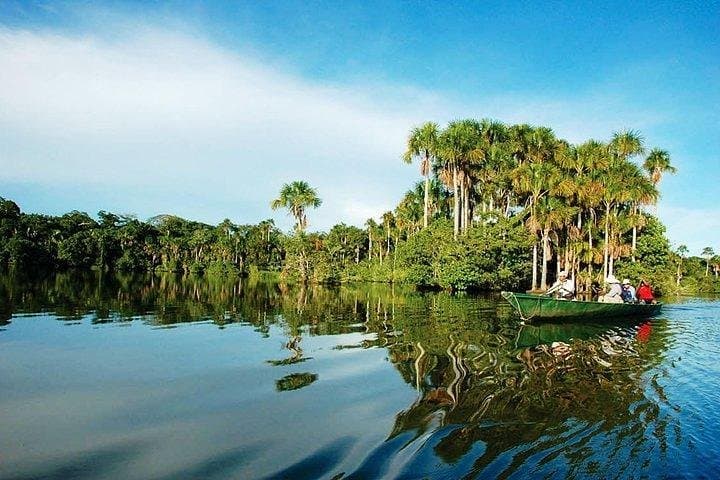 4-Day Tambopata Amazon Lodge: Macaws, Clay Licks & Lake Sandoval Wildlife photo 5